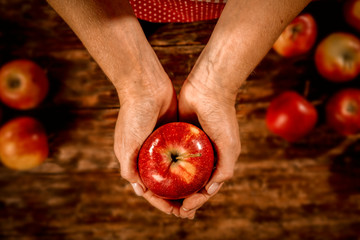 Woman hands and apples. Free space for your decoration. 