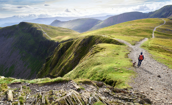 A hiker and their dog walking down from the summit of Hopegill Head with Hobcarton Crags to the left in the Lake District, England, UK.