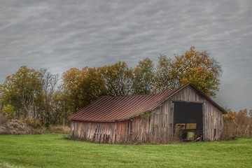 Obraz premium 0712 - Stewart Road's Little Grey (0712-BAR-102119-1134A)