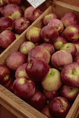 Rustic wooden crates filled with seasonal apples for sale at a farmers market in Copley Square on a Fall day.  