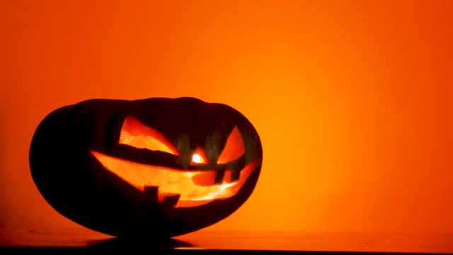 Real halloween pumpkin head