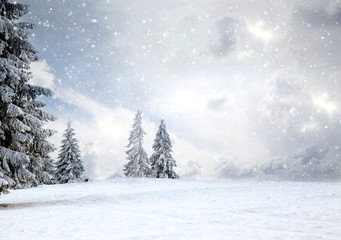 magical Christmas card with fairy tale winter landscape with snow covered firs