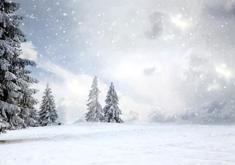 Fototapete Rund Weiß zauberhafte Weihnachtskarte mit märchenhafter Winterlandschaft mit schneebedeckten Tannen  © Melinda Nagy