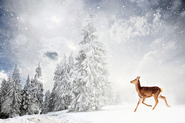 magical Christmas card with roe deer running in fairy tale winter landscape