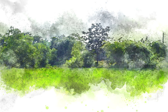 Abstract colorful shape on tree and field landscape watercolor illustration painting background.