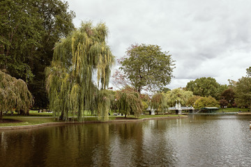 Pond at Boston Public Gardens in the Back Bay neighborhood of Boston, Massachusetts.