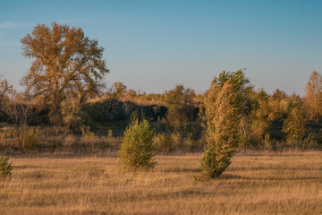 evening by autumn in steppe