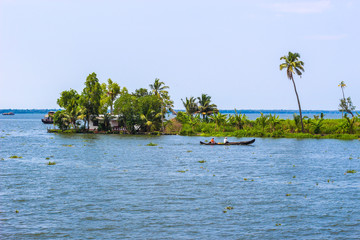 tropical island with palm trees
