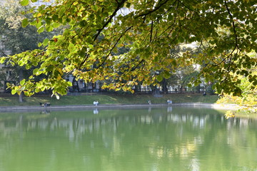 view of the city pond