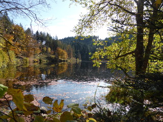 Hochmoor Nonnenmattenweiher