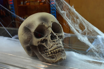 human skull and bones