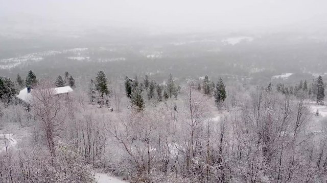 Winter landscape in Norway moving train ride 60fps, 4K