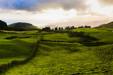 Beautiful landscape sceneries in Azores Portugal. Tropical nature in Sao Miguel Island, Azores. 