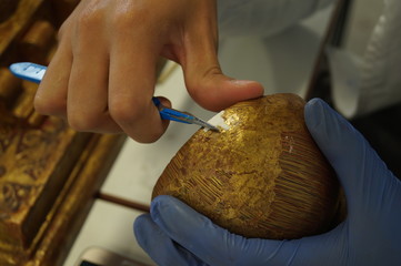 Wood preservation and restoration technique