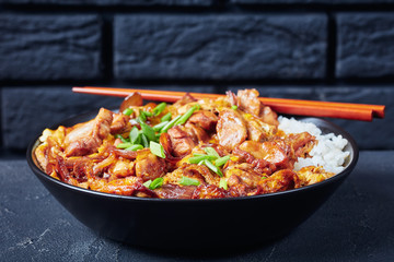 omelet with chicken meat topped on rice, Oyakodon