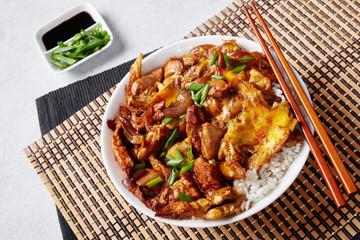 Oyakodon, Japanese Chicken and Egg Rice Bowl