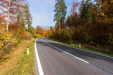 Landstraße die durch einen idylischen Wald im Herbst führt