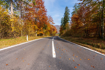 Landstraße die durch einen idylischen Wald im Herbst führt