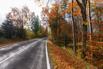 Landstraße die durch einen idylischen Wald im Herbst führt