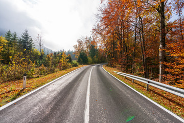 Landstraße die durch einen idylischen Wald im Herbst führt