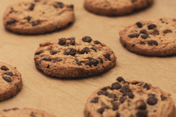 Homemade chocolate cookies on baking paper. Closeup