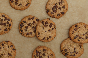 Homemade chocolate cookies on baking paper.