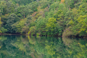 滋賀　音羽山登山道脇の池