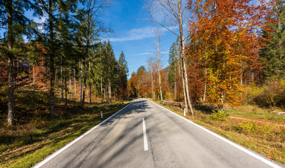 Landstraße die durch einen idylischen Wald im Herbst führt