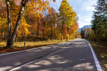 Landstraße die durch einen idylischen Wald im Herbst führt