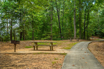 Picnic tables and grills