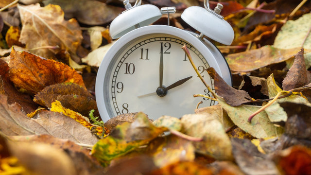 Wecker Uhr im Laubhaufen,  Sommerzeit - Winterzeit umstellen
