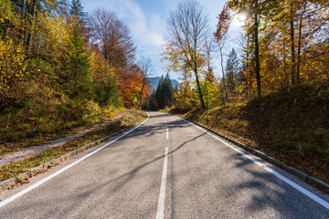 Fototapeta premium Landstraße die durch einen idylischen Wald im Herbst führt