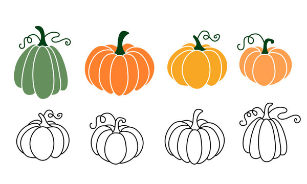 A set of pumpkins, black outlined and colored. Vector collection of cute hand drawn pumpkins on white background. Elements for autumn decorative design, halloween invitation, harvest  thanksgiving.