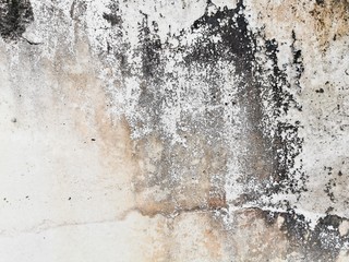 texture of old wall