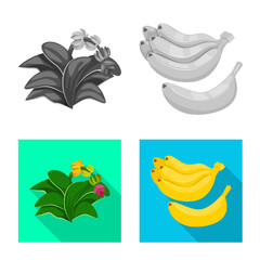 Isolated object of natural and vegetarian symbol. Set of natural and eating stock vector illustration.