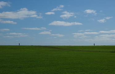 Silhouette of two people walking away from each other in a grassy field with blue sky and clouds