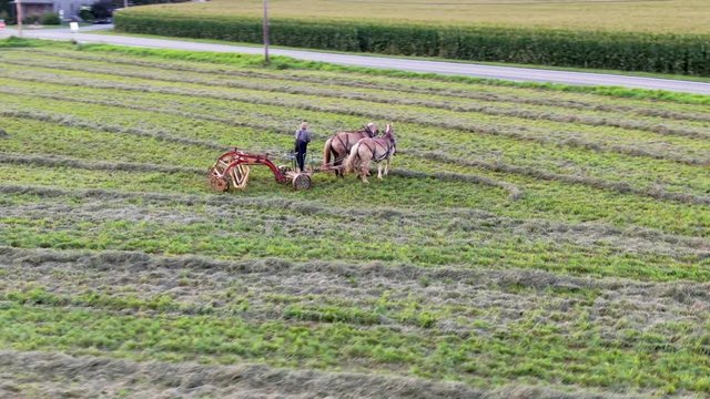 Aerial drone tracking shot of Amish farmer with horse drawn hay rake in Lancaster Pennsyvlvania field