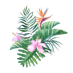 Fototapeta premium Tropical watercolor bouquet of their hibiscus and strelitzia leaves and flowers on white background for design.