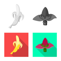 Vector illustration of natural and vegetarian logo. Set of natural and eating stock vector illustration.