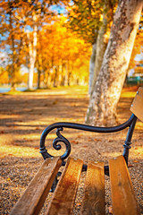 Bench with autumnal lights in october
