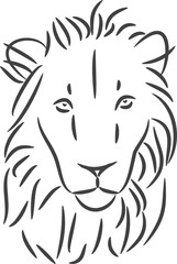 Fototapeta na wymiar illustration of a lion isolated on white background