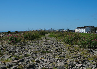 Dirt coastal track towards Salthill village near Galway, Ireland on a sunny day in summer with rocks, grass, houses and wild flowers