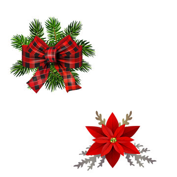Vector. Christmas decoration: evergreens isolated