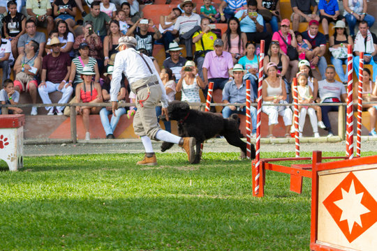 Quimbaya, Quindio / Colombia. July 21, 2017. Panaca an Agricultural Theme Park that fosters the interactivity of man with nature and domestic zoology.