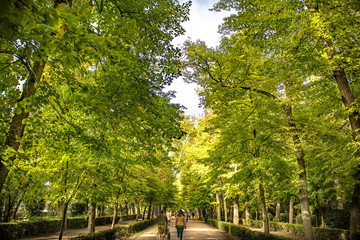 The gardens of the Prince of Aranjuez