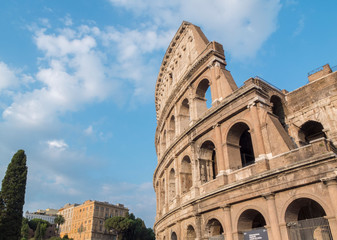 Fototapeta premium El coliseo de Roma