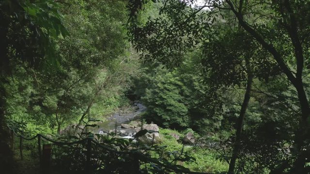 
Aerial view drone going through the leaves and revealing the river on the trail to Salto do Prego.