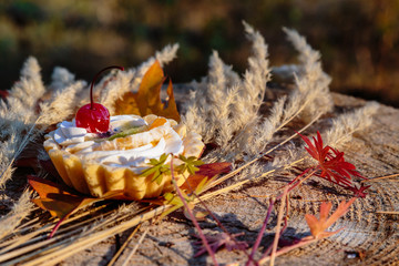 Cake with cherries in autumn leaves