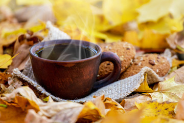 Cup of hot coffee in the forest among yellow maple leaves_