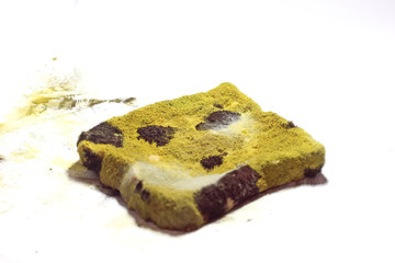 Close-up moldy bread with black and green fungal on dirty white background, Selective focus